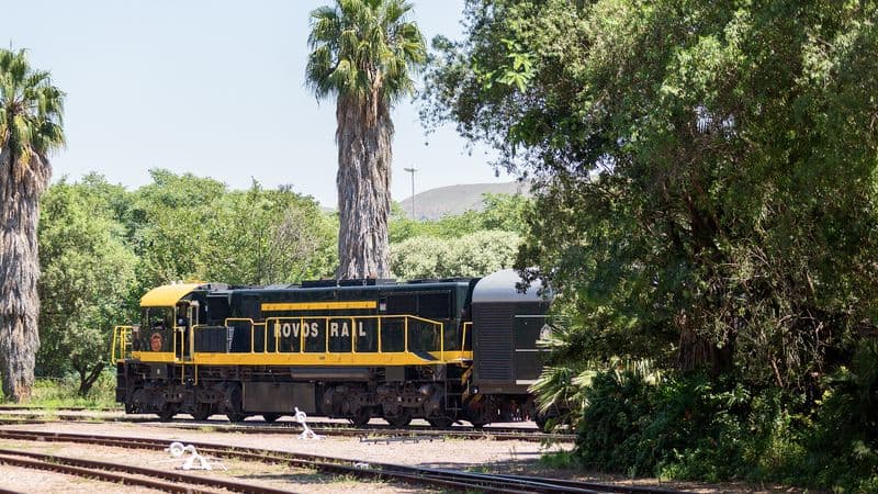 Safari Cruise along the Zambezi River - South Africa, Botswana, Namibia, Zimbabwe with the pre-cruise itinerary "The Cape Peninsula" and the post-cruise program "From Zimbabwe to South Africa on a Lux