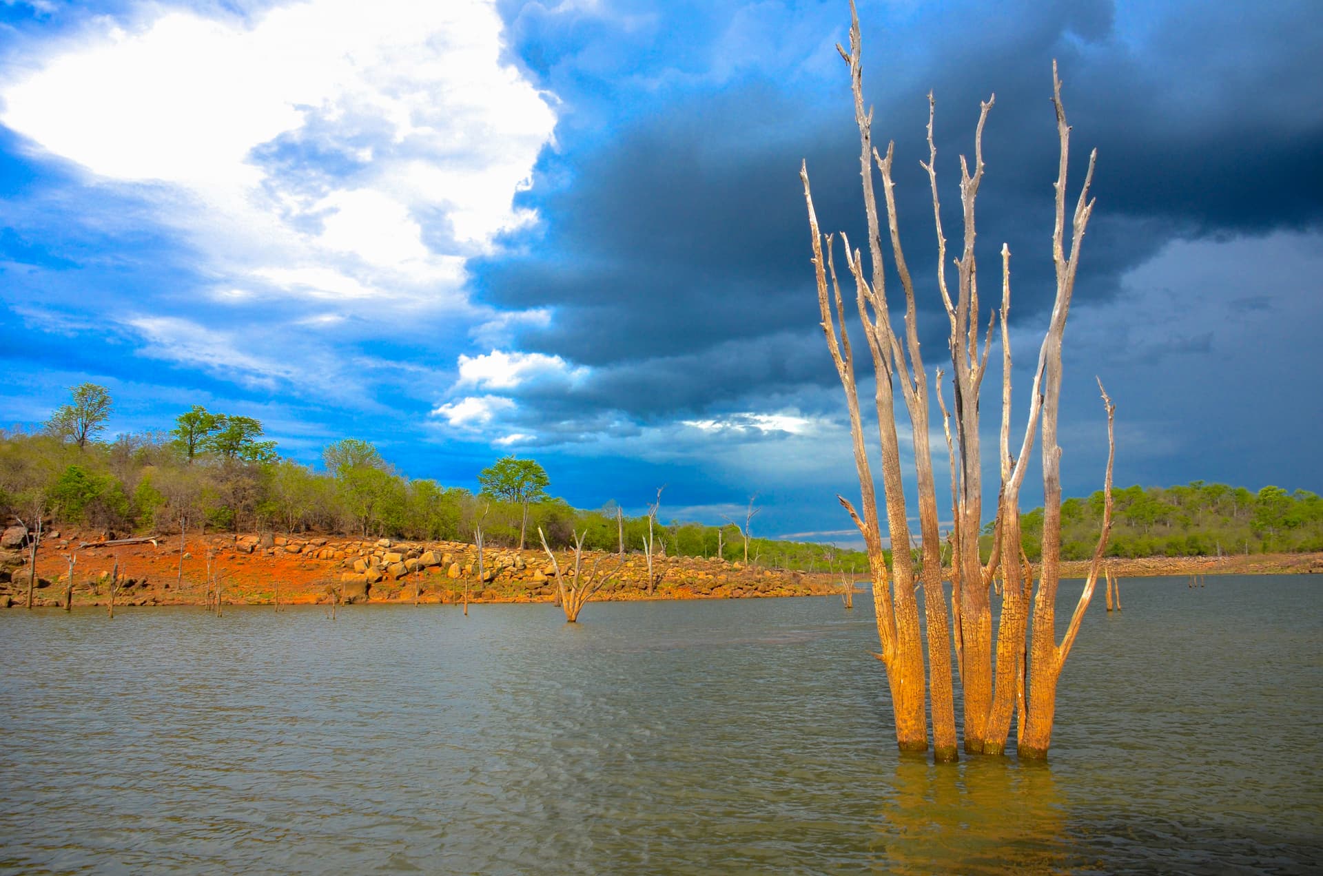 Safari Cruise along the Zambezi River - South Africa, Botswana, Namibia, Zimbabwe with extended stay at the Cape Peninsula (port-to-port cruise)