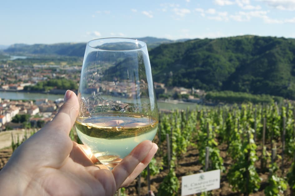 Discover the fabulous world of vineyards and wine, exceptional terroirs of the Rhône and Saône (port-to-port cruise)
