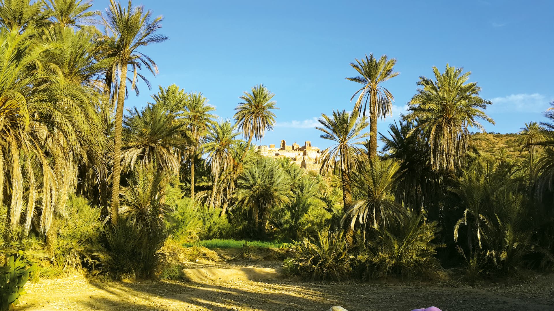 Splendors of Moorish Art - The Imperial Cities of Morocco (port-to-port package)