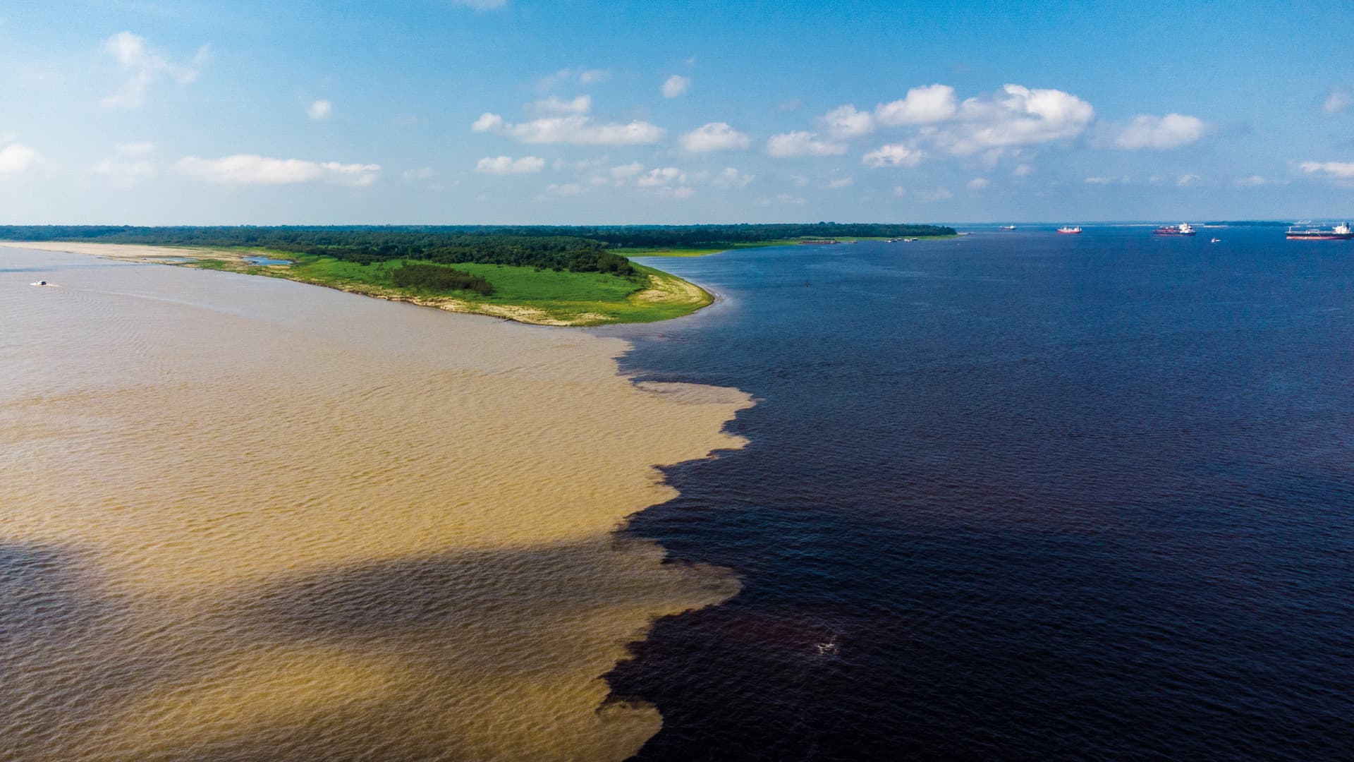 Cruise into the Heart of Primal Amazonia - An exploration at the edge of the jungle, between Brazil and Colombia (port-to-port cruise)