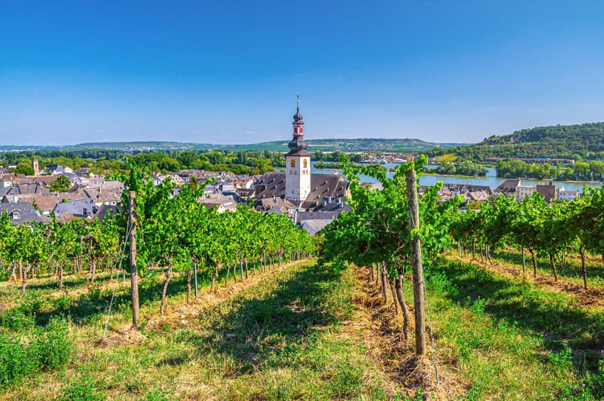 The Romantic Rhine Valley and the Rock of Lorelei (port-to-port cruise)