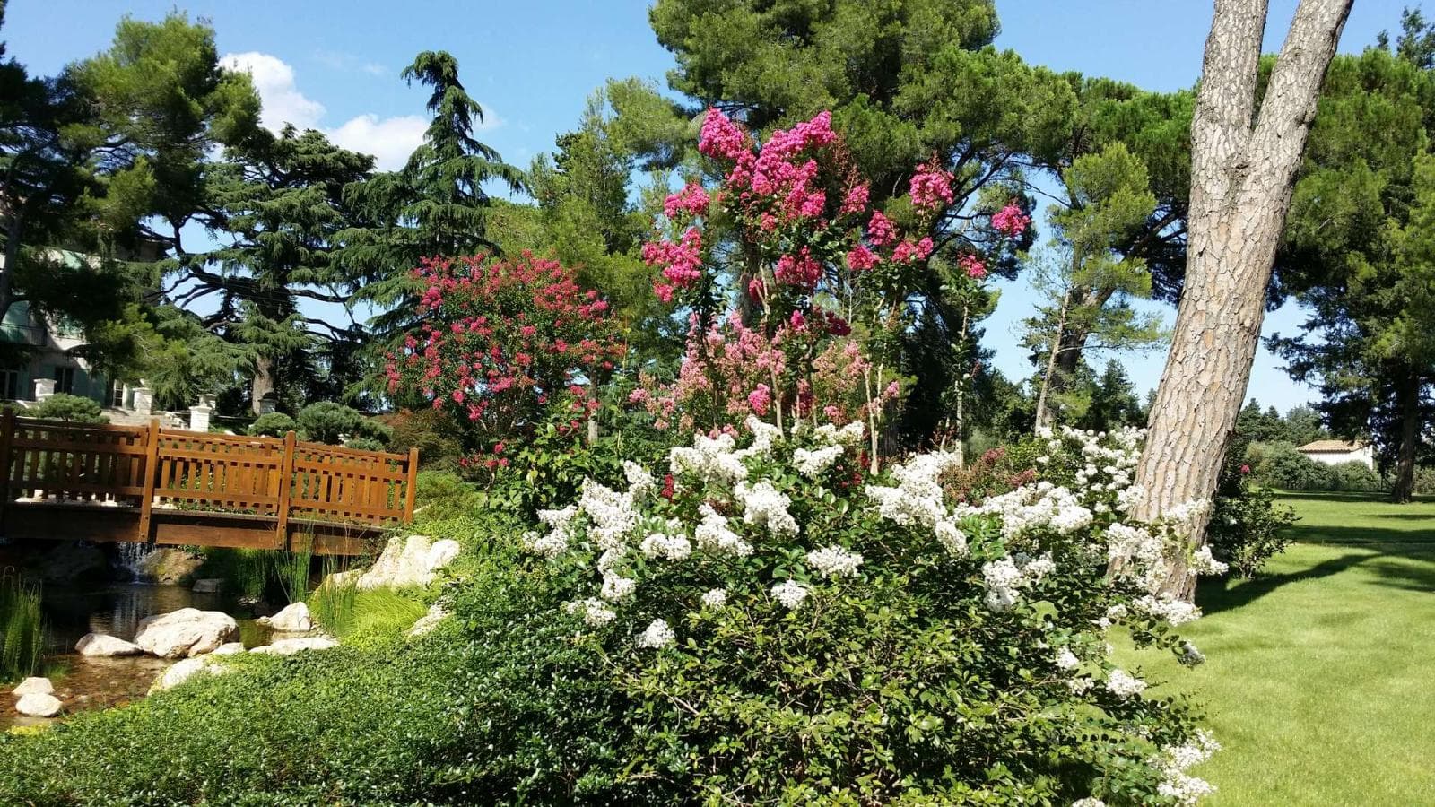 The Symphony of Gardens ¿ Cruise in the Rhône Valley (port-to-port cruise)