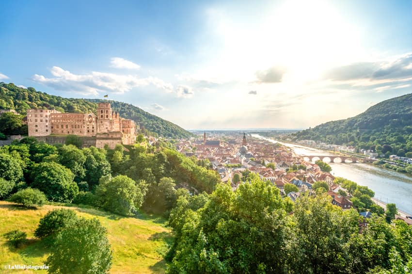 Hiking cruise through the Rhine Valley - History, traditions, and the spirit of the Rhineland (port-to-port cruise)