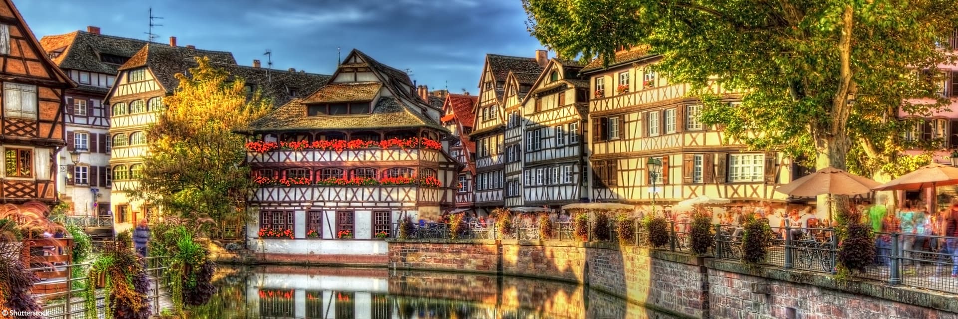 LOYALTY CRUISE - The Rhine in Celebration! (Port to Port)