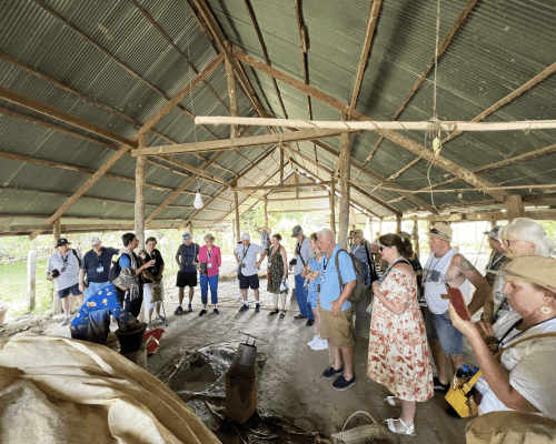 Vietnam & Mekong Majesty: 18 Days of Premium Culture, Cuisine & Cruise